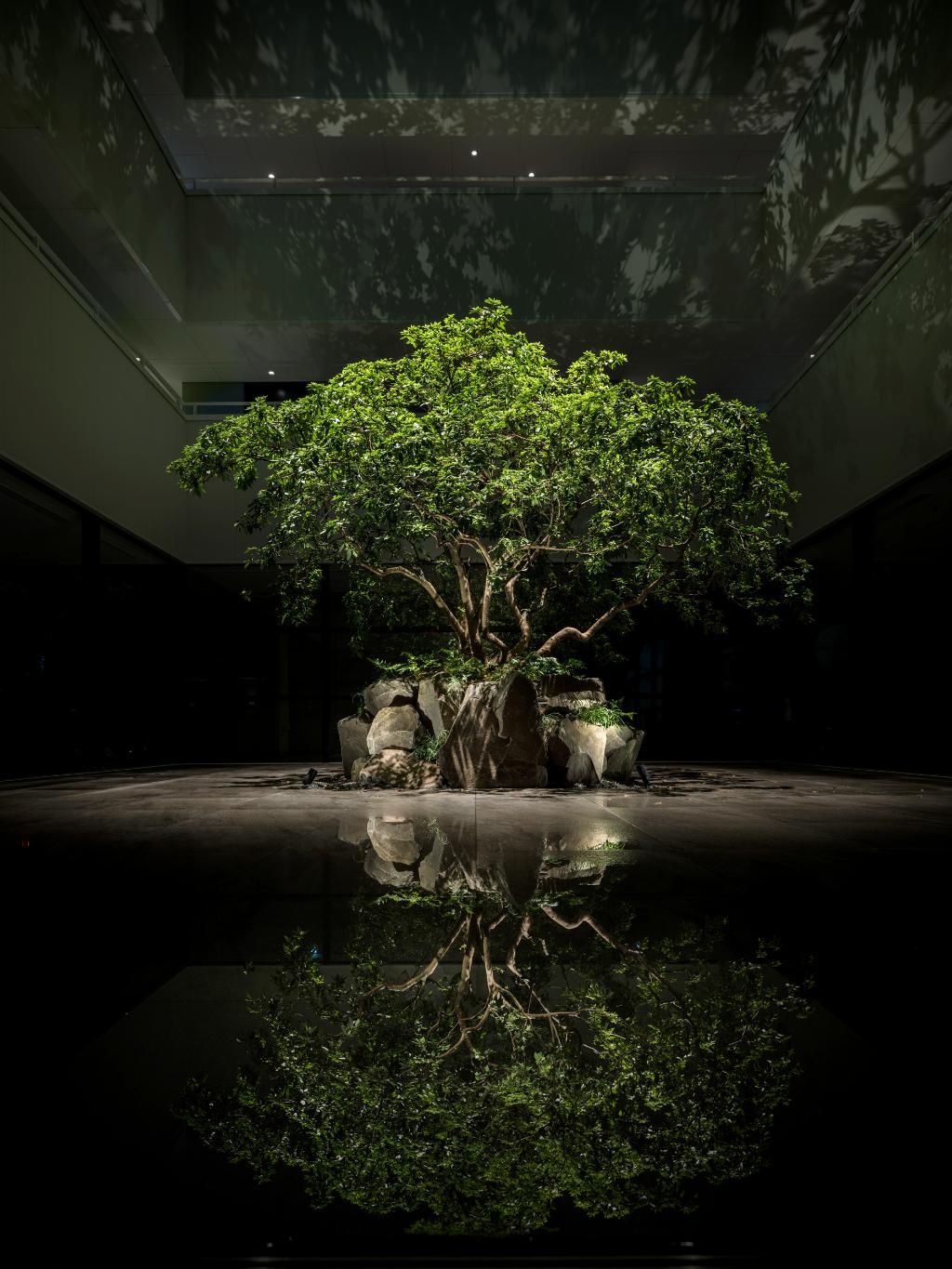 KABIN Kyoto - Lobby