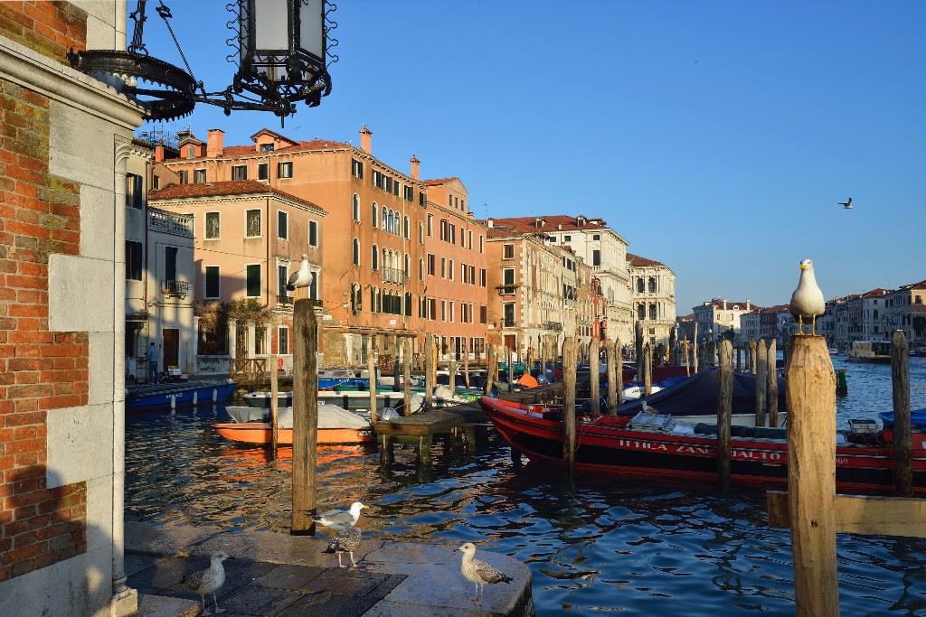 Imagem da galeria de L'Orologio Venezia