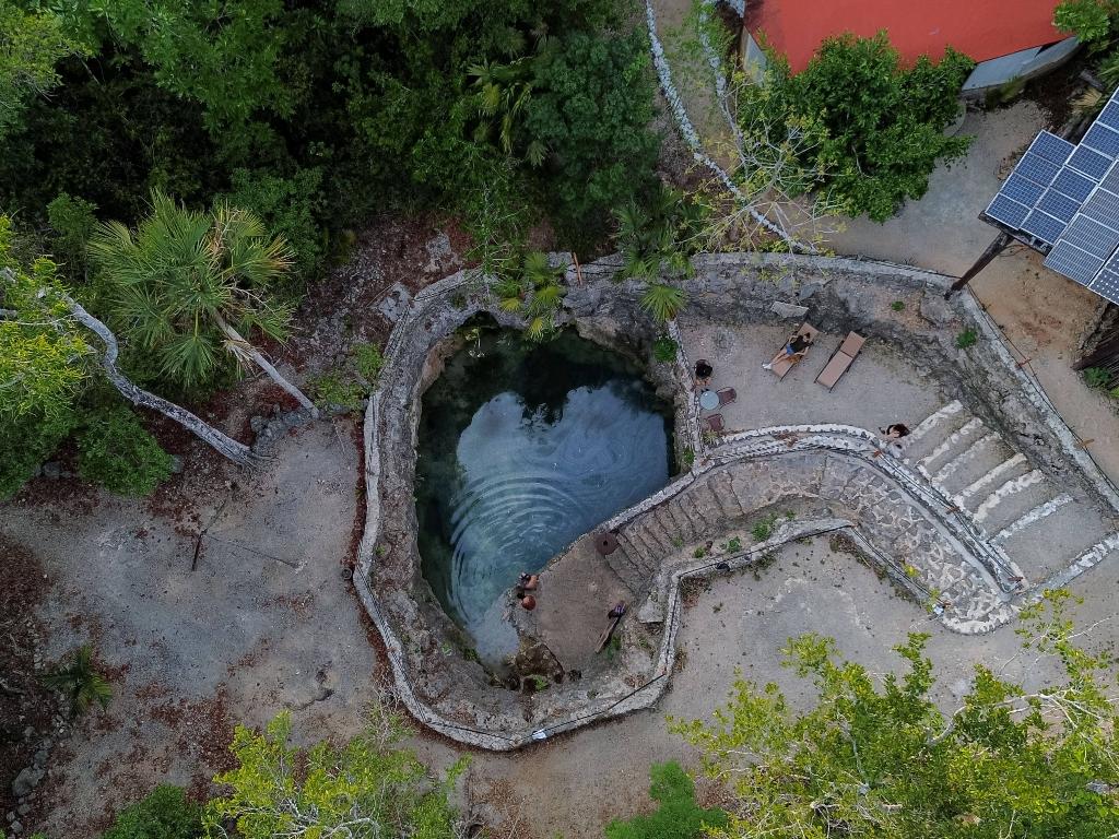 Jolie Jungle, vista principal