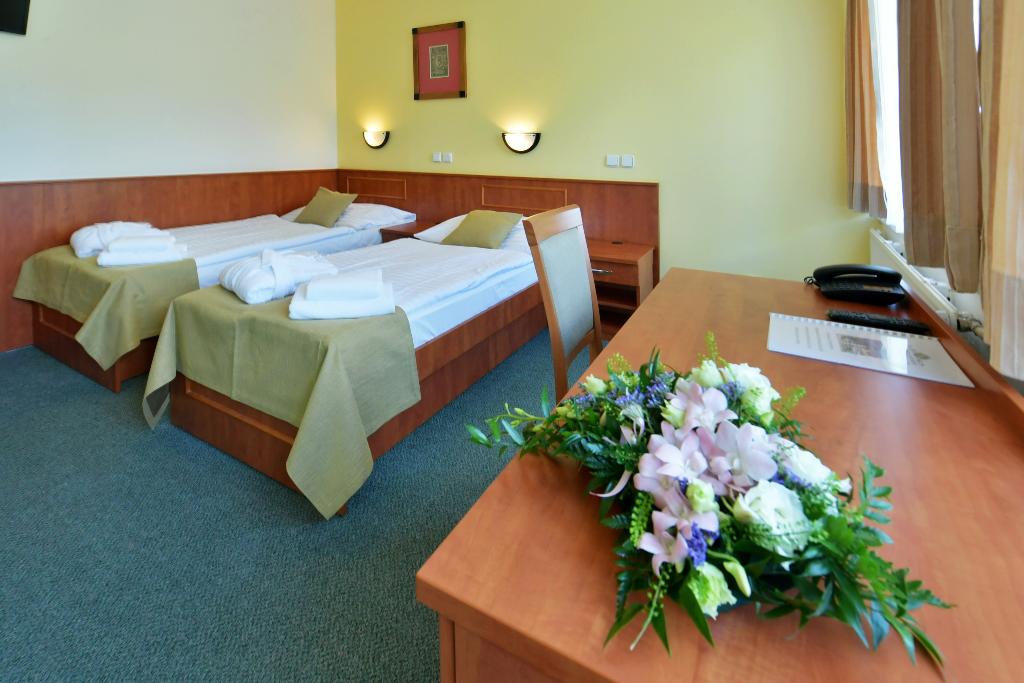 Spa Resort Libverda - Hotel Panorama