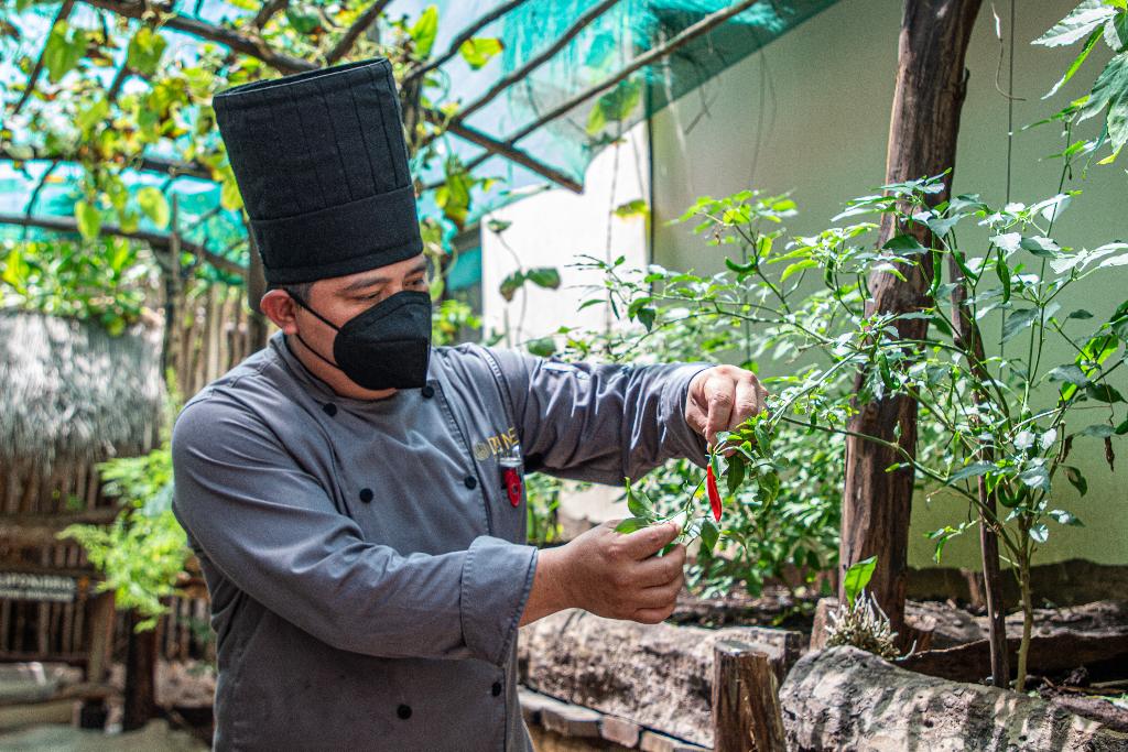 Hotel Dune Boutique Hotel Tulum, Mexiko, Tulum. Großes 2