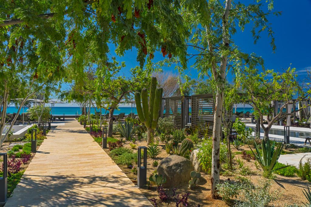 Solaz, A Luxury Collection Resort, Los Cabos photo 79