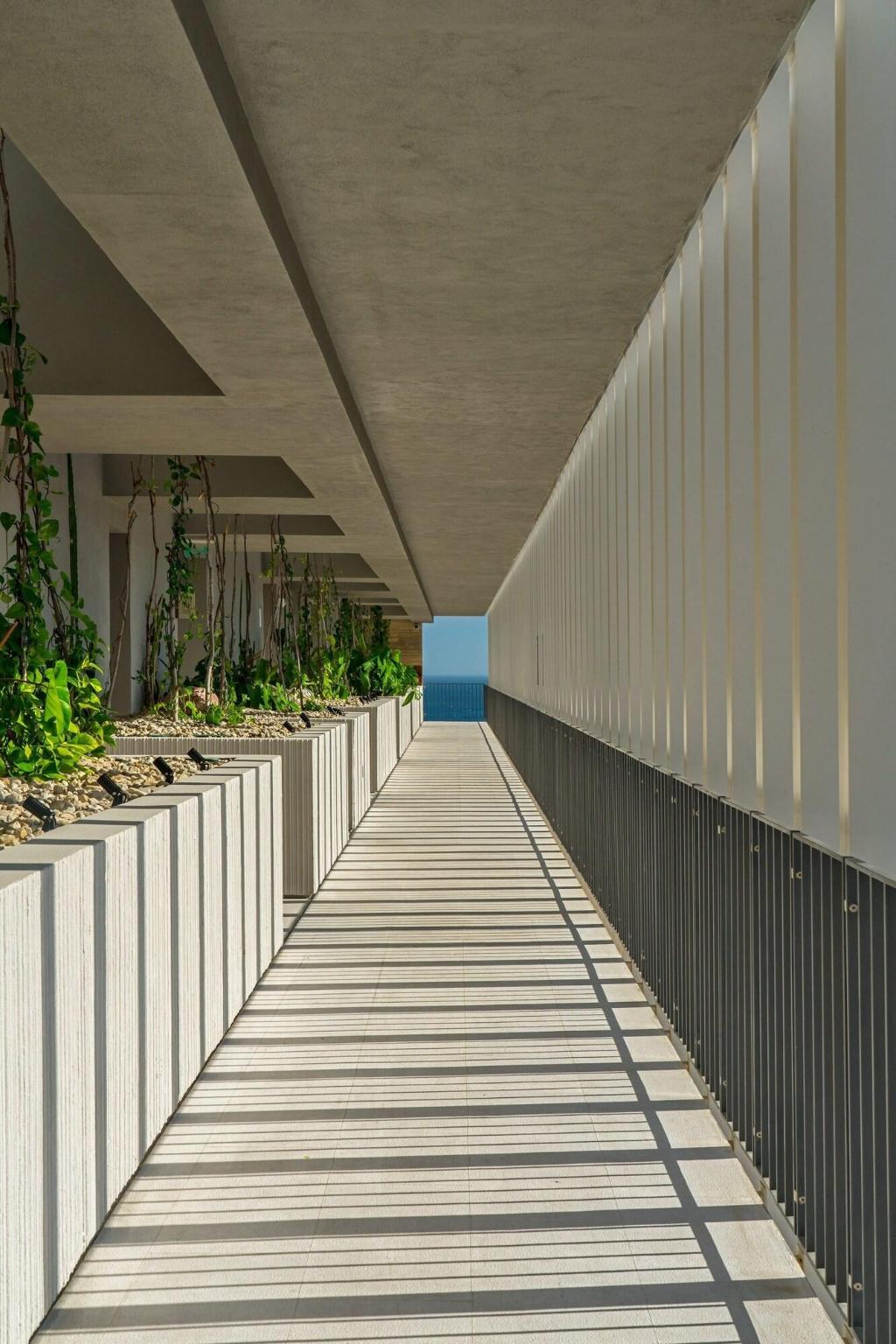 Solaz, A Luxury Collection Resort, Los Cabos photo 80