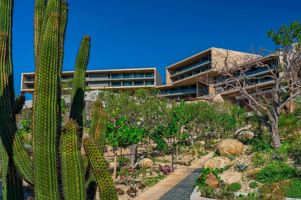 Solaz, A Luxury Collection Resort, Los Cabos photo 122