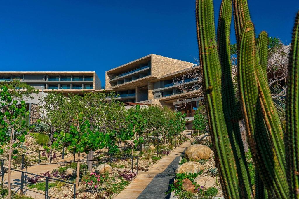 Solaz, A Luxury Collection Resort, Los Cabos photo 100