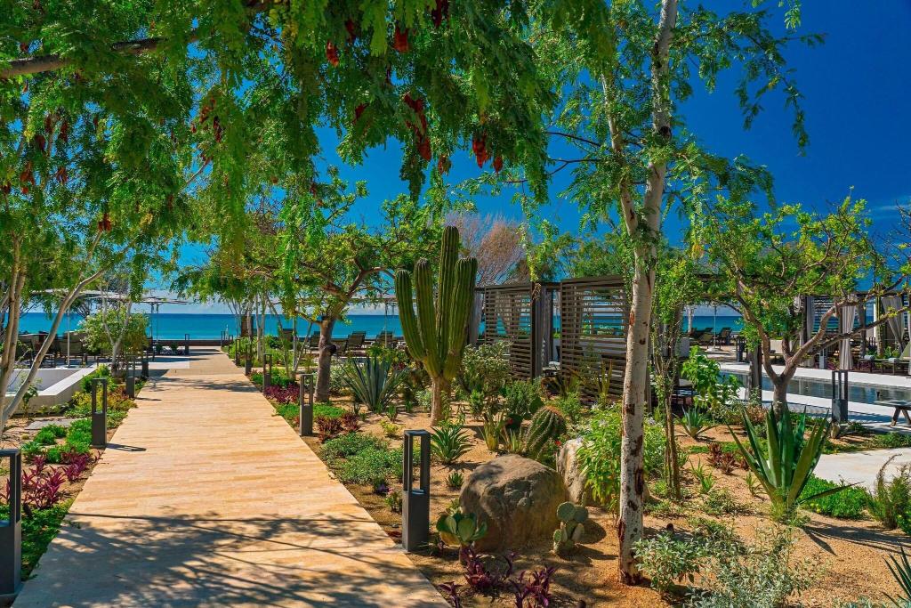 Solaz, A Luxury Collection Resort, Los Cabos photo 102