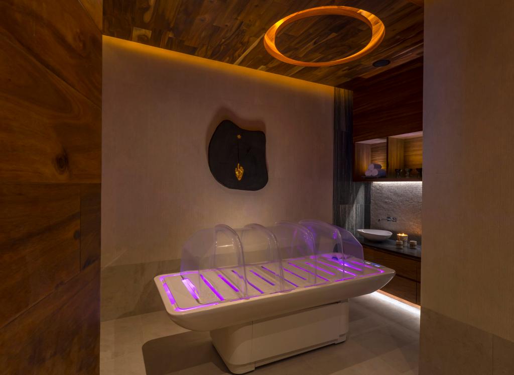 Solaz, A Luxury Collection Resort, Los Cabos photo 236