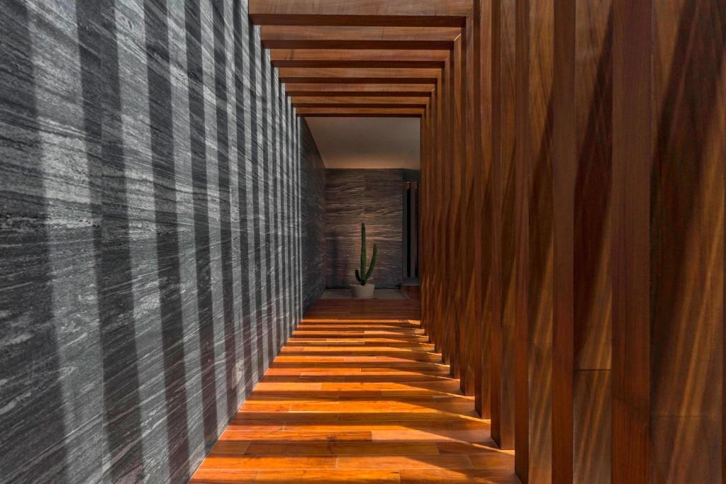 Solaz, A Luxury Collection Resort, Los Cabos photo 228