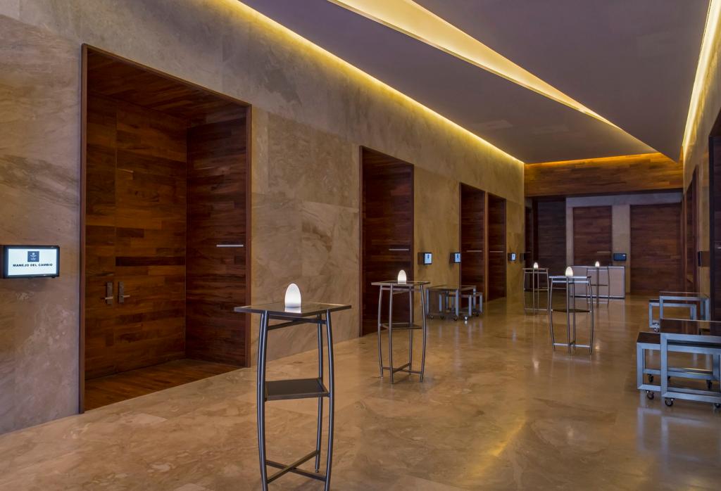 Solaz, A Luxury Collection Resort, Los Cabos photo 170
