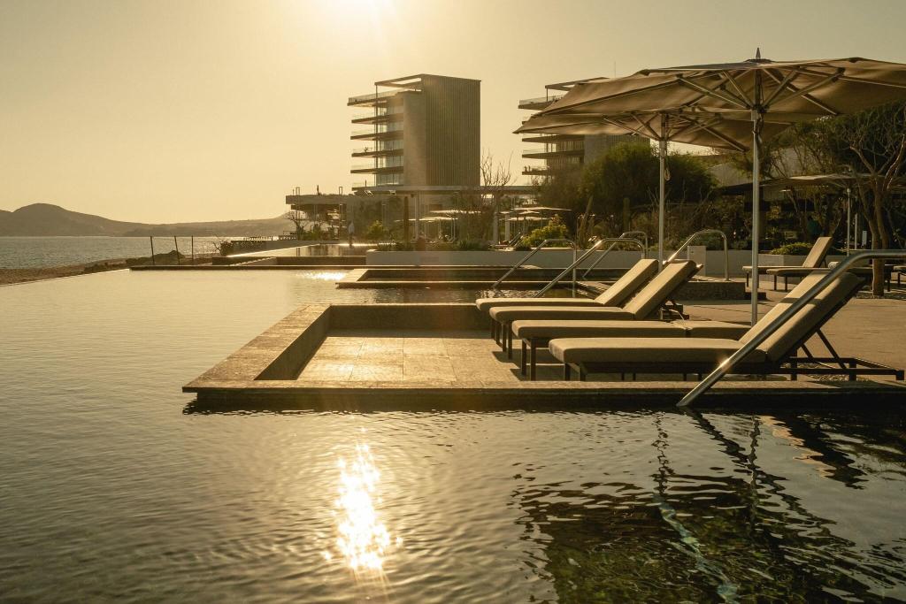 Solaz, A Luxury Collection Resort, Los Cabos photo 421