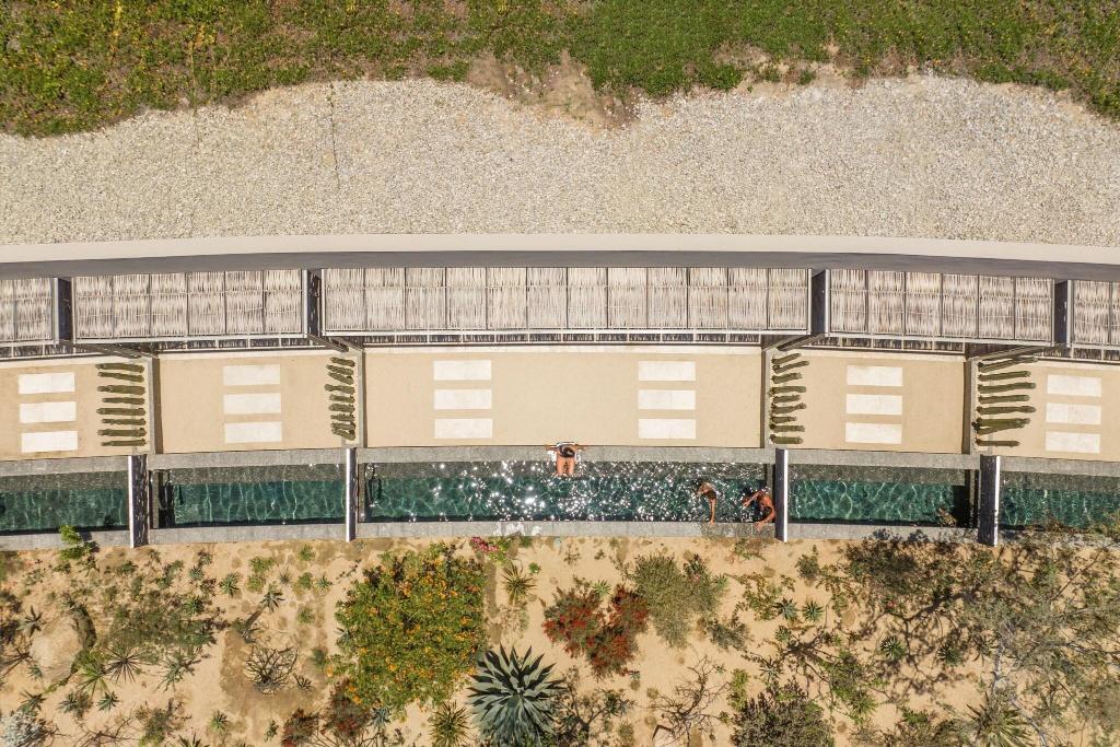 Solaz, A Luxury Collection Resort, Los Cabos photo 522