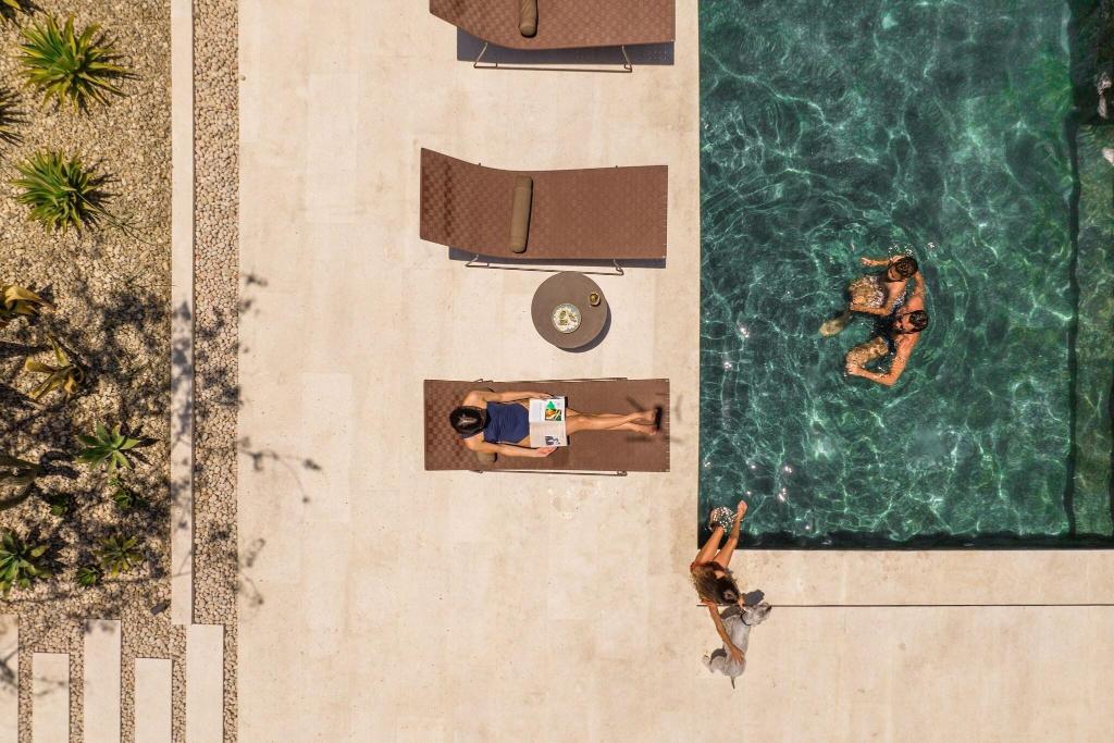 Solaz, A Luxury Collection Resort, Los Cabos photo 485