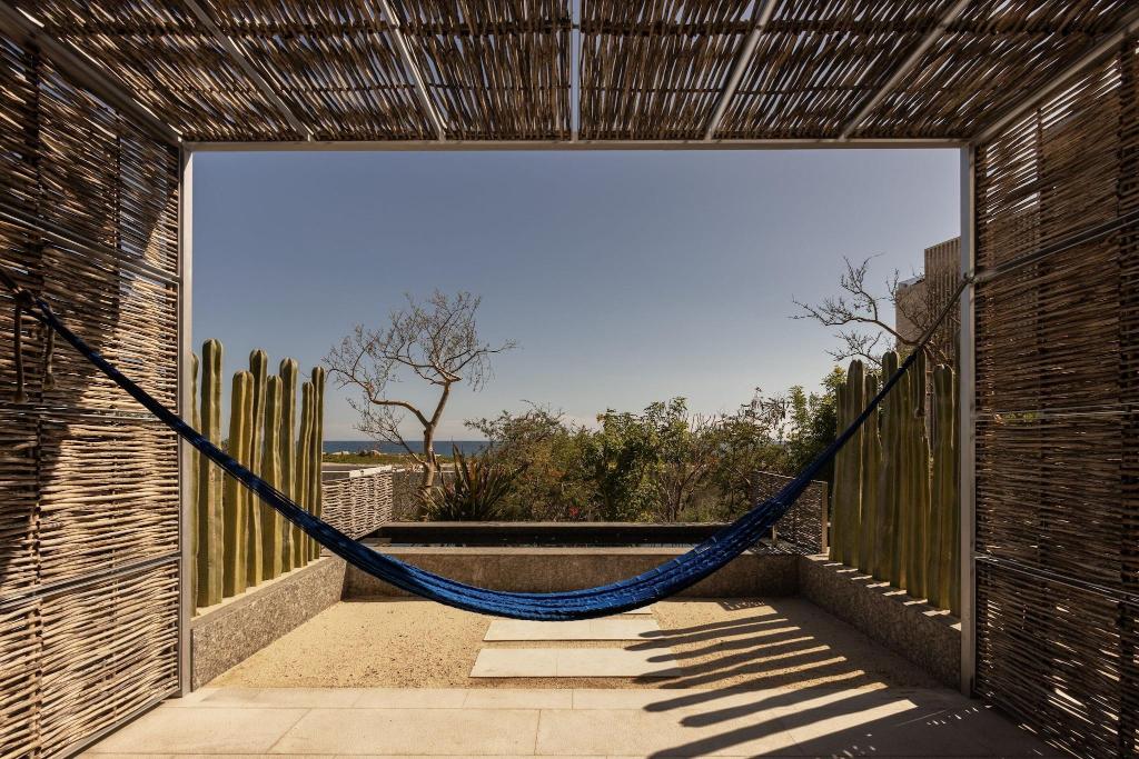 Solaz, A Luxury Collection Resort, Los Cabos photo 482