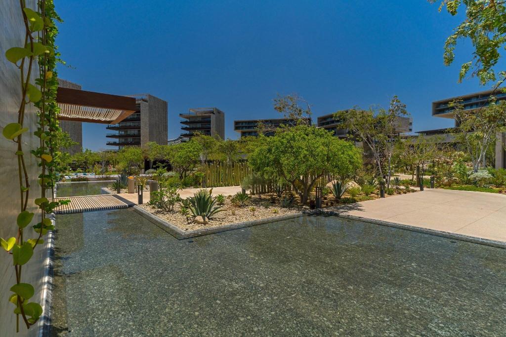 Solaz, A Luxury Collection Resort, Los Cabos photo 326