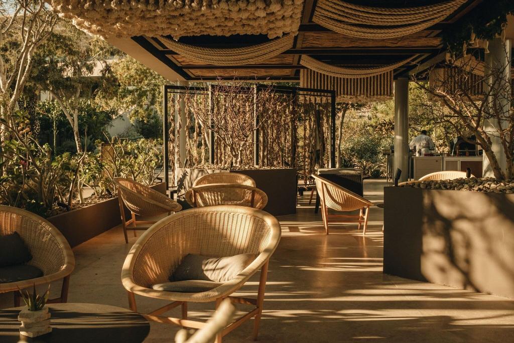 Solaz, A Luxury Collection Resort, Los Cabos photo 162