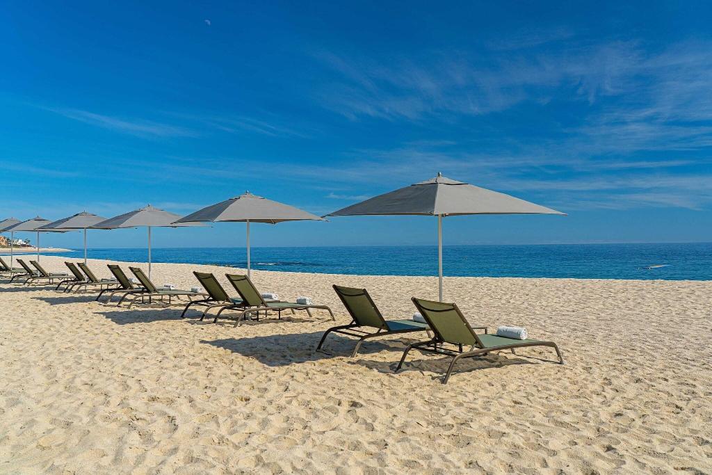 Solaz, A Luxury Collection Resort, Los Cabos photo 335