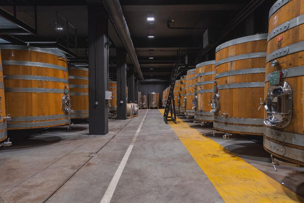 Hotel Roxanich Winery & Design Hotel, Kroatien, Motovun. Großes 2