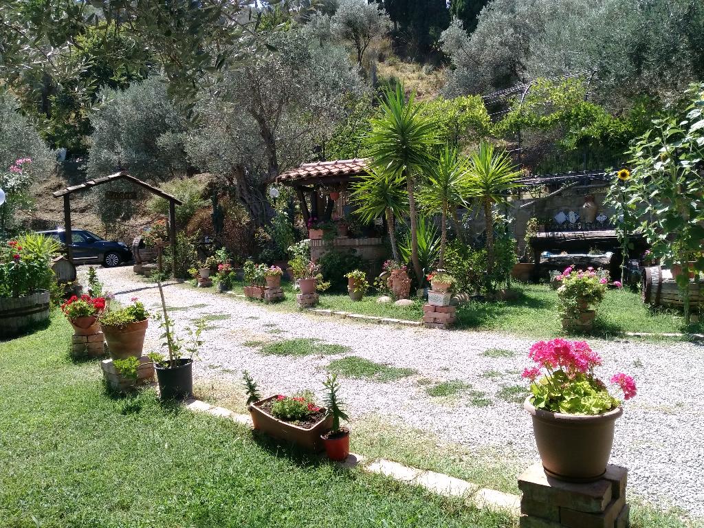 Hotel Agriturismo L'Uliveto, Italien, Reitano. Großes 69