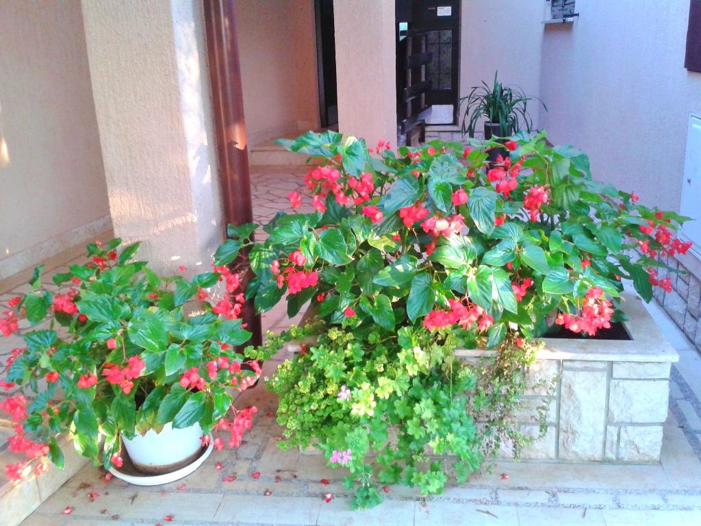 Hotel Apartments Miljenko, Kroatien, Fazana. Großes 2