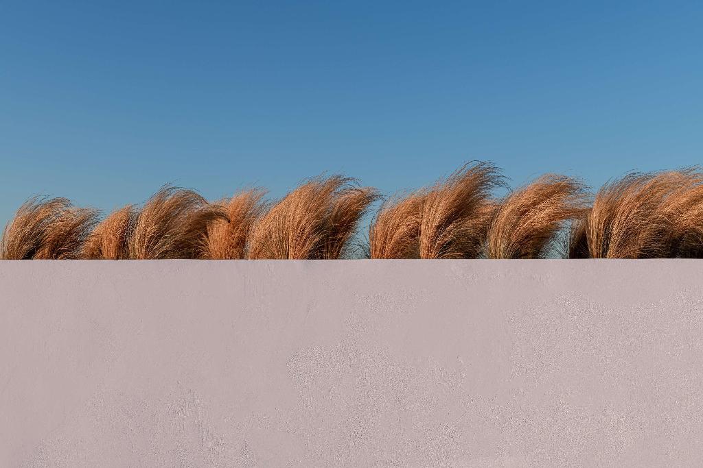 Andronis Arcadia Hotel