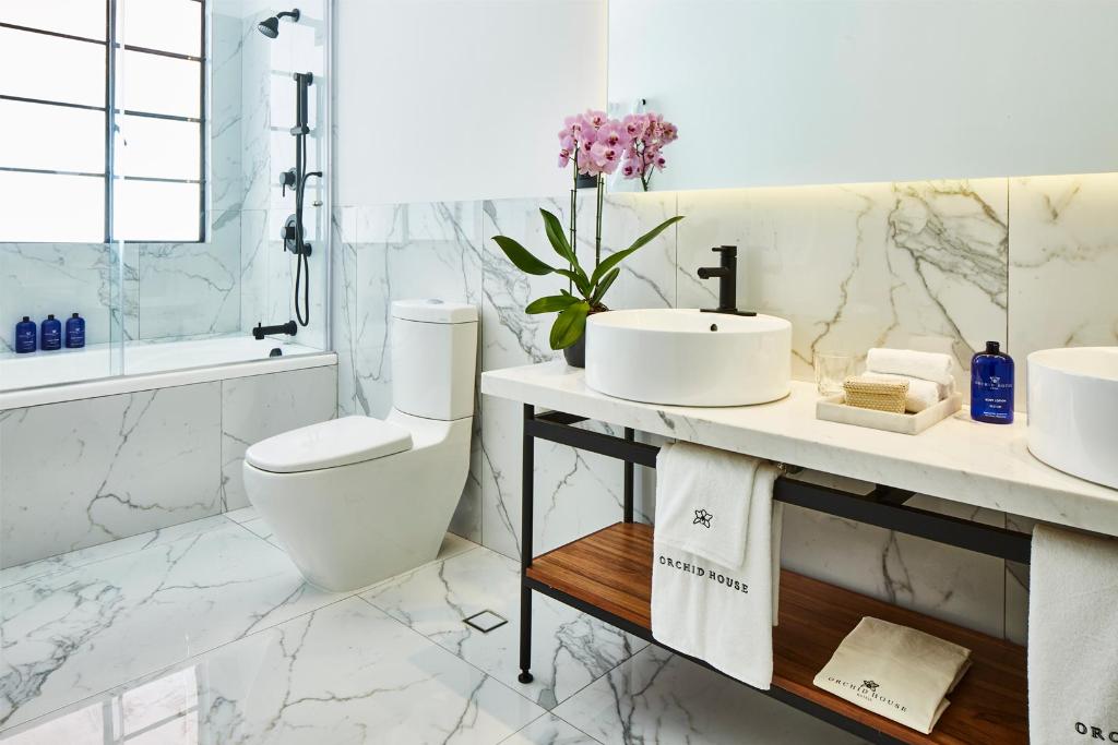 Orchid House Polanco