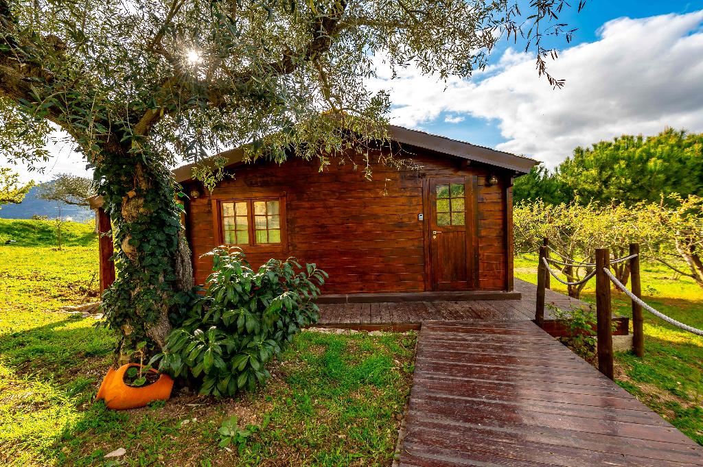 Quinta Do Quinto