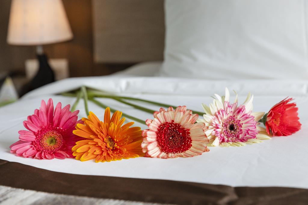 Libra Nha Trang Hotel