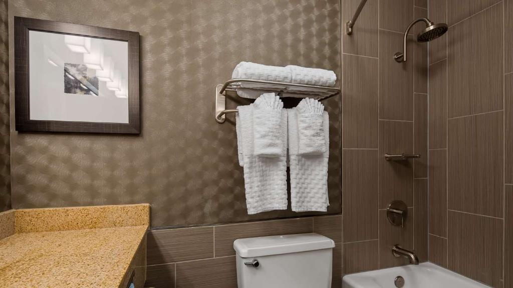 Best Western Premier Airport/Expo Center Hotel
