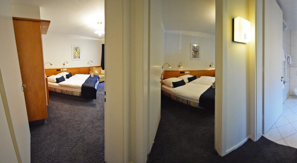 Braun Art Hotel