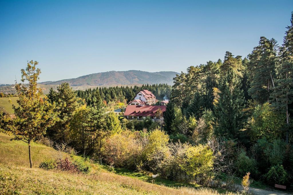 Q Resort and Spa Sacele