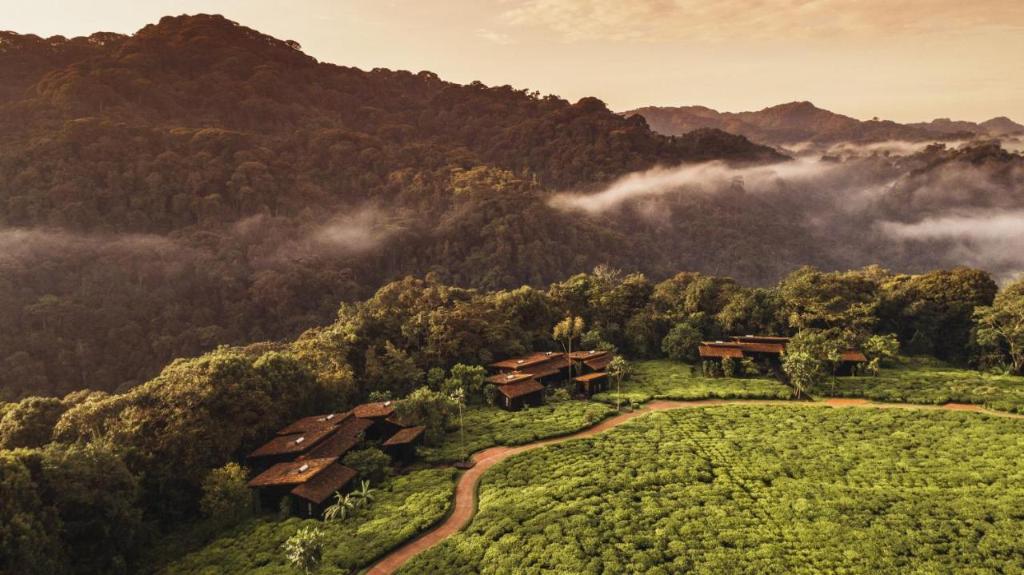 One&Only Nyungwe House photo 37