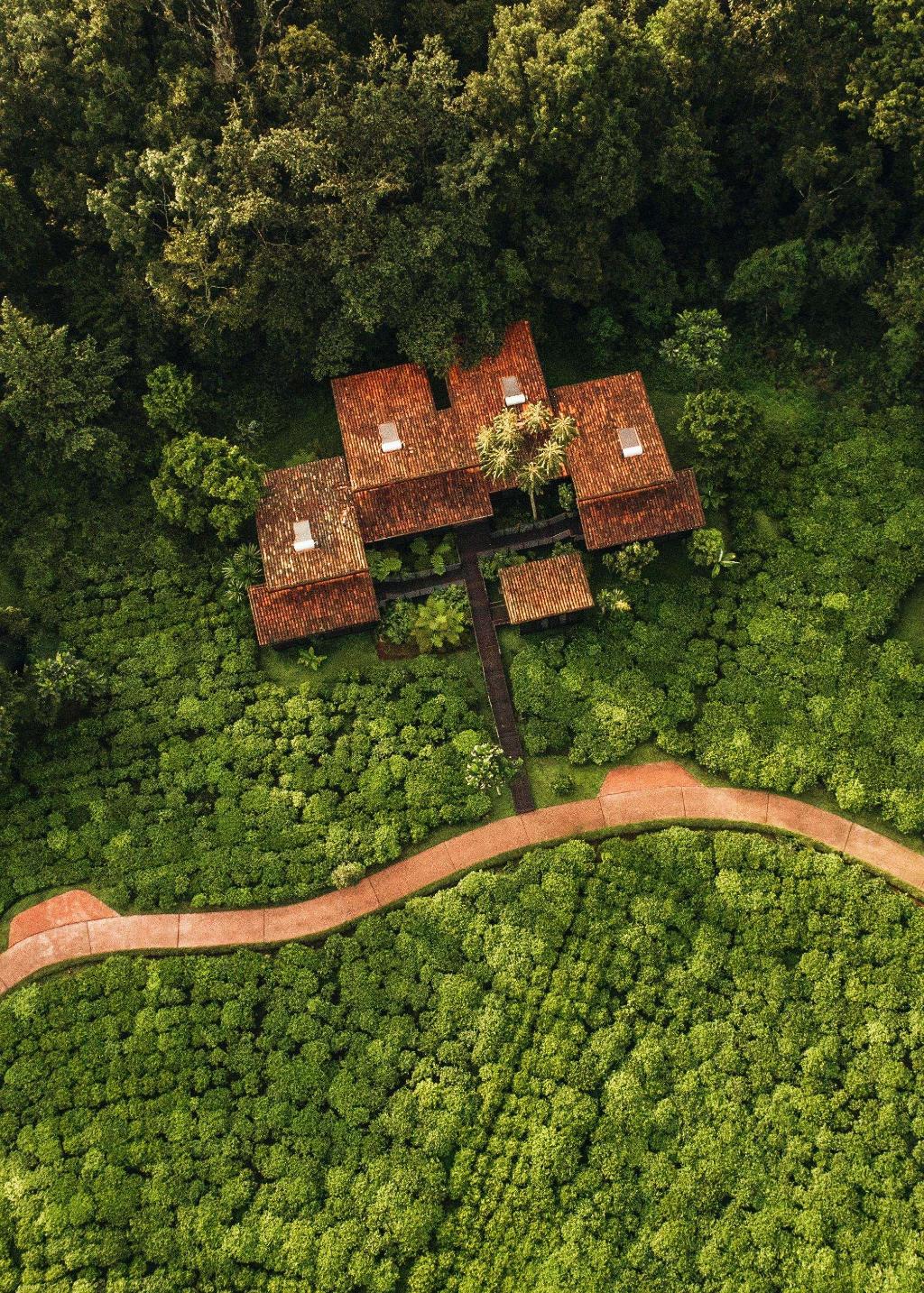 One&Only Nyungwe House photo 38