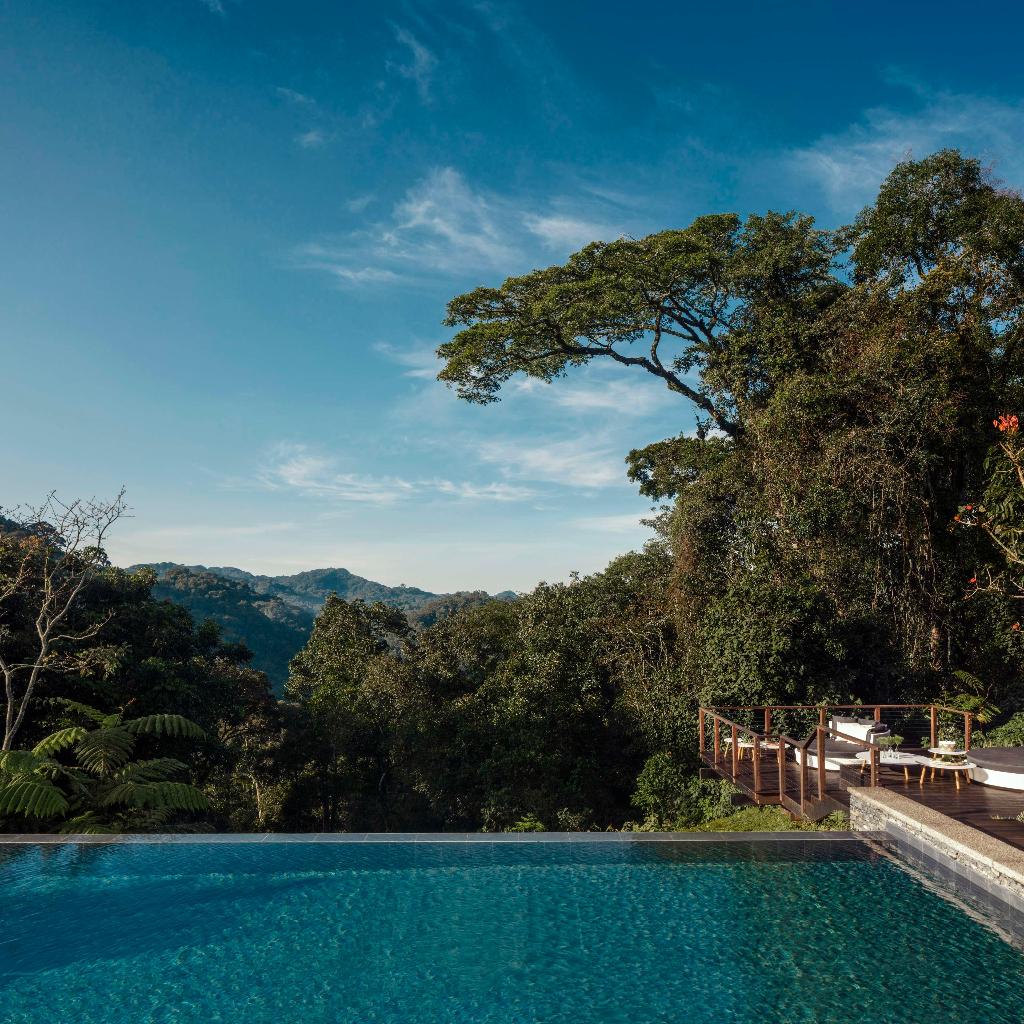 One&Only Nyungwe House photo 19