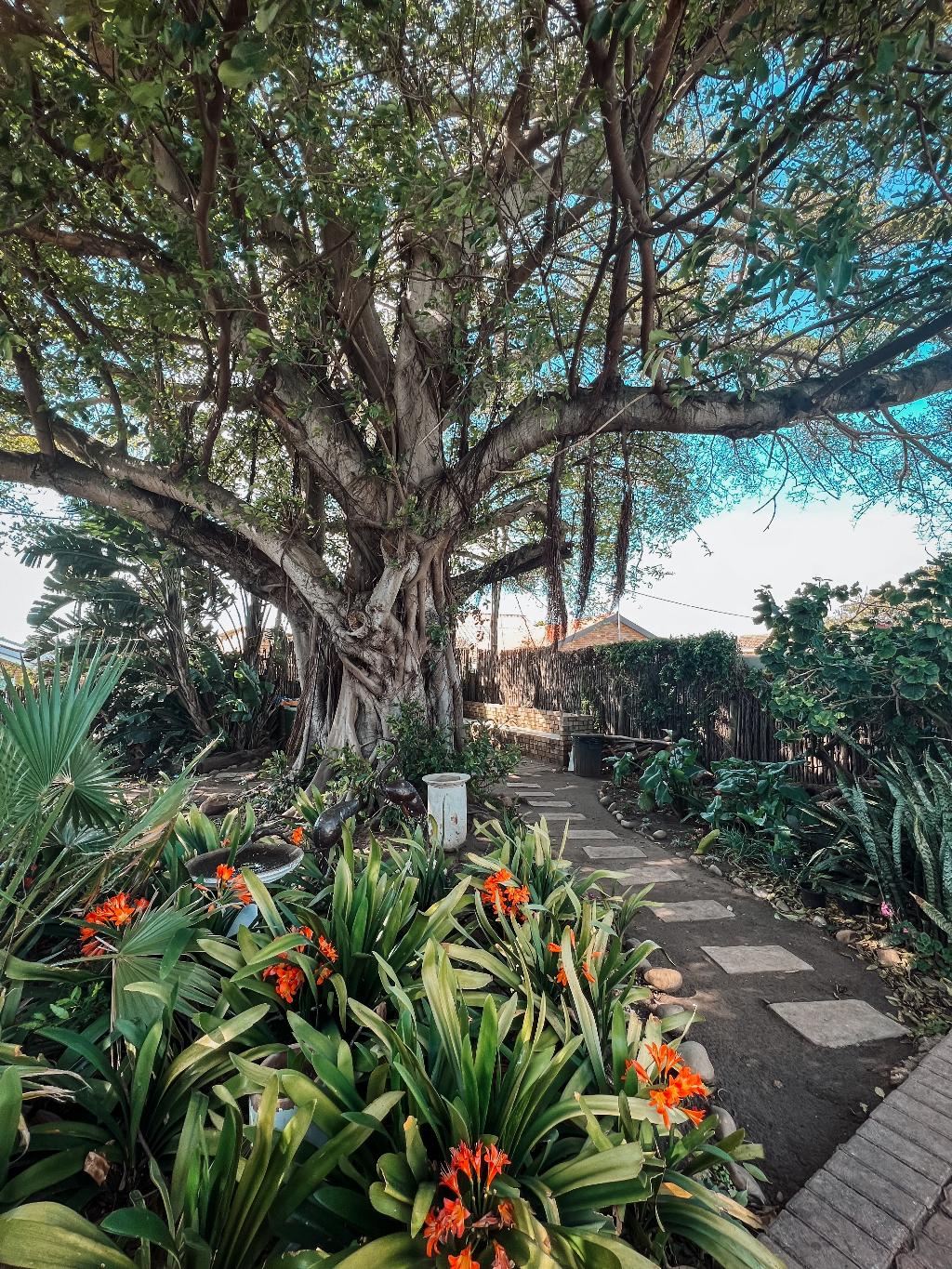 Aquarius Bed And Breakfast - General view