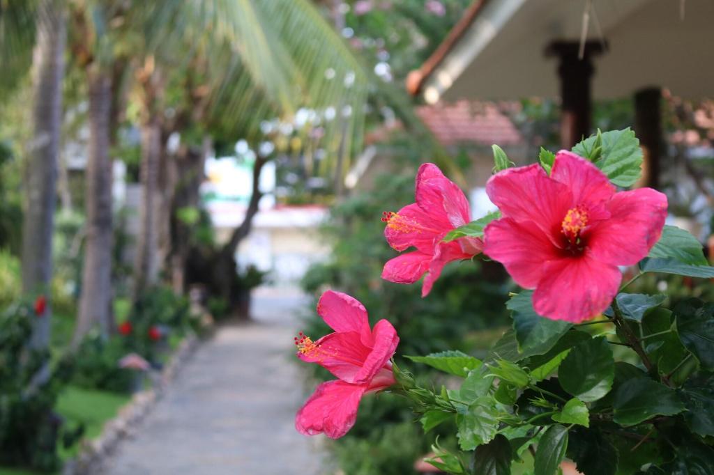 Ravenala Boutique Resort