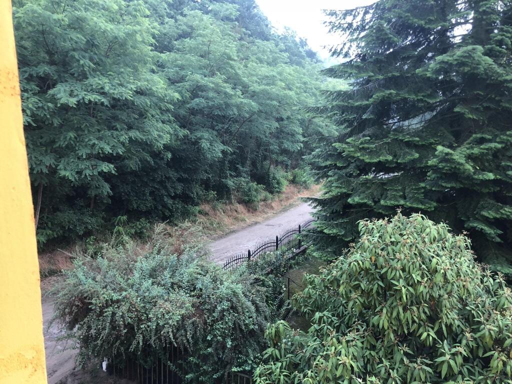 Hotel Riverside Inn, Deutschland, Oderberg. Großes 75