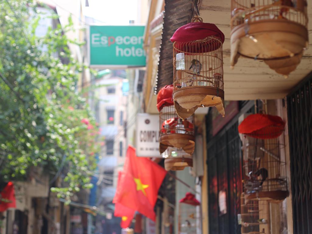 Especen Hotel