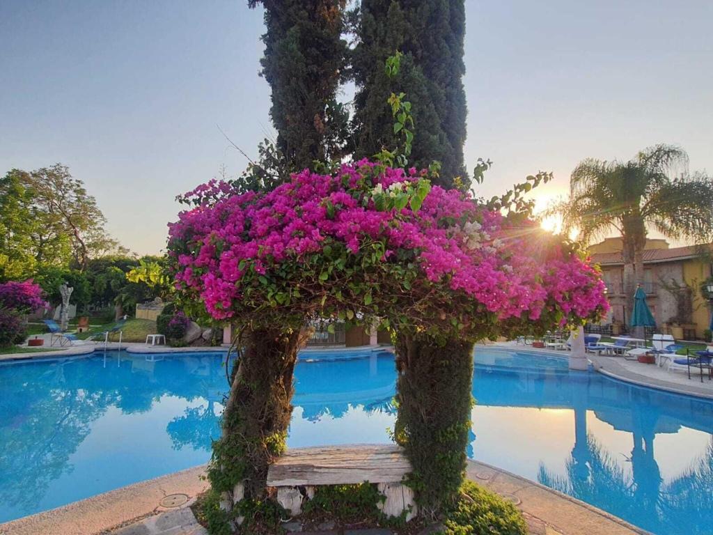 Gran Hotel Hacienda De La Noria