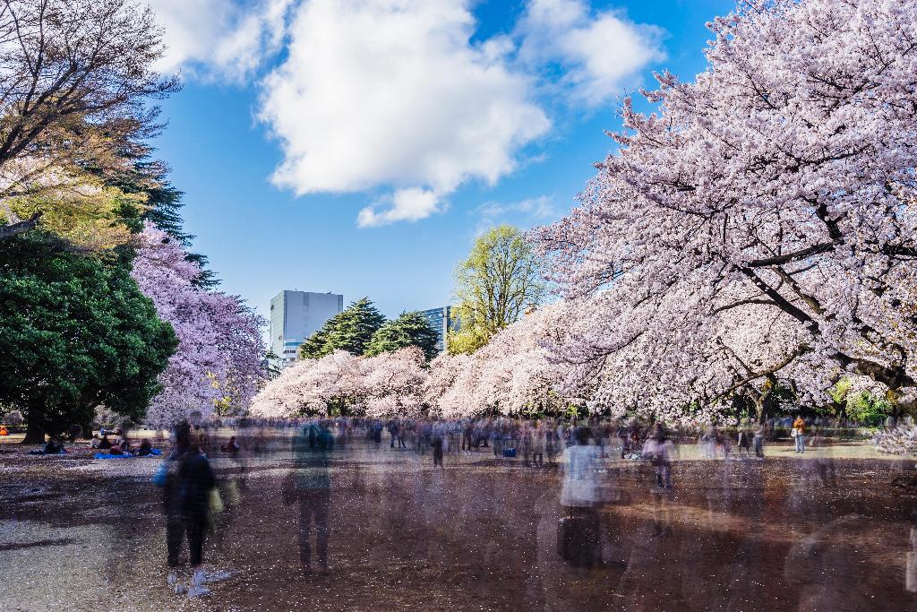 Kimpton Shinjuku Tokyo