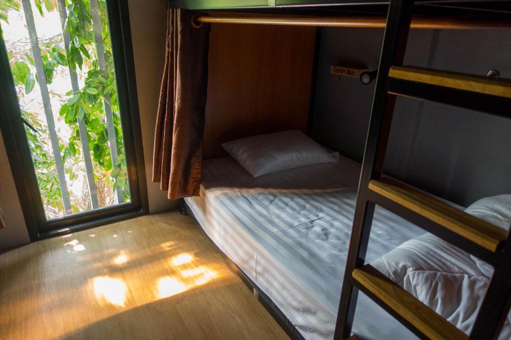 Comfy Bed Hostel