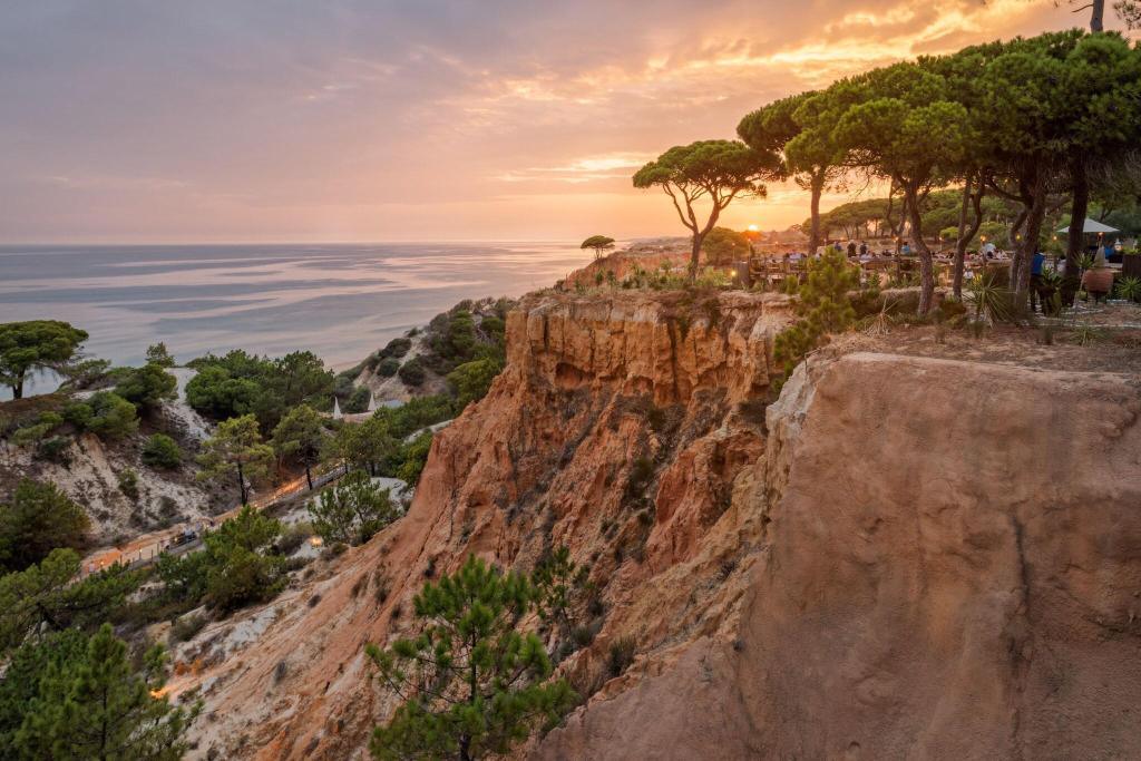 Imagem da galeria de Pine Cliffs Gardens