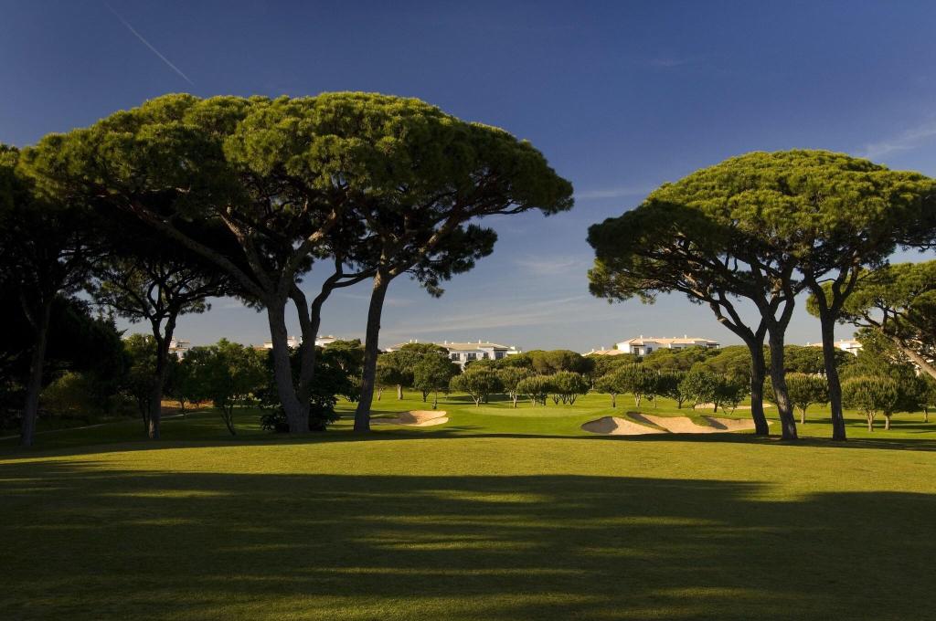Imagem da galeria de Pine Cliffs Gardens