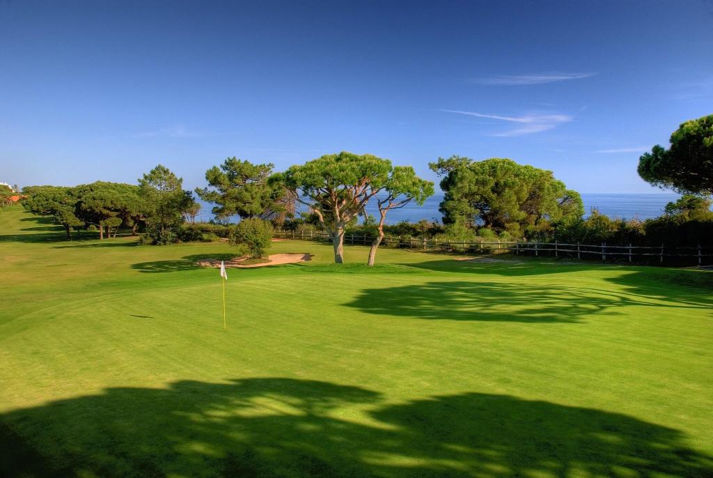 Imagem da galeria de Pine Cliffs Gardens
