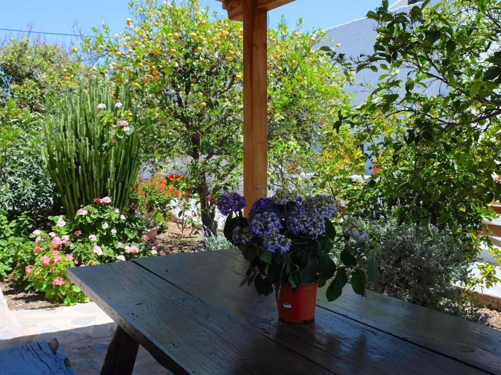 Casa Rural Sofia, vista principal