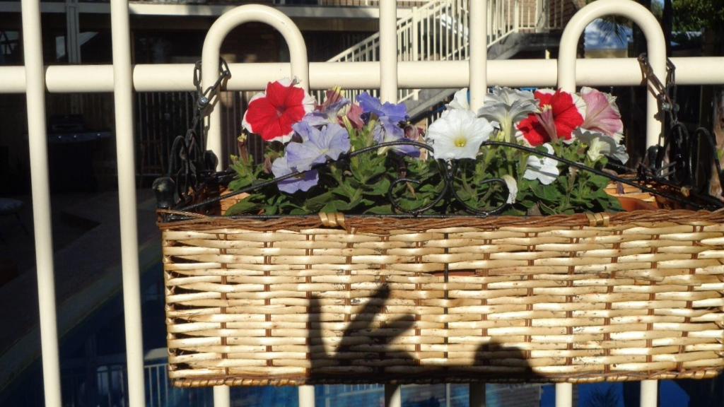 Abel Tasman Waterfront Motel Lakes Entrance