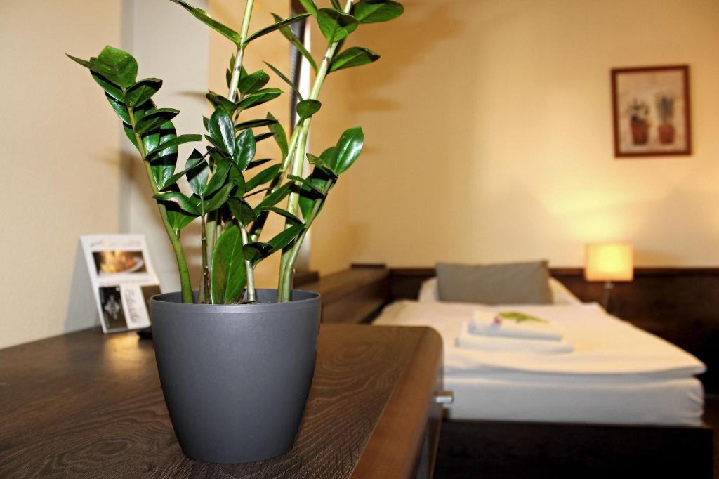 Penzion Wellness&Restaurant Zoborska, free parking