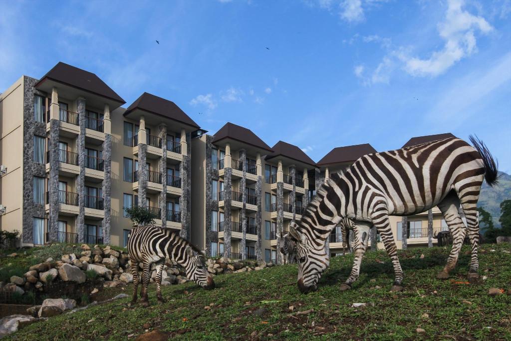 Baobab Safari Resort