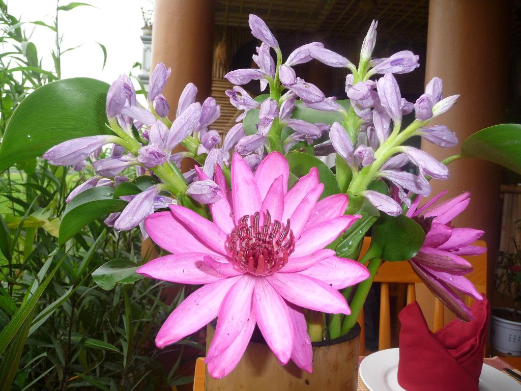 Mai Chau Valley View Hotel