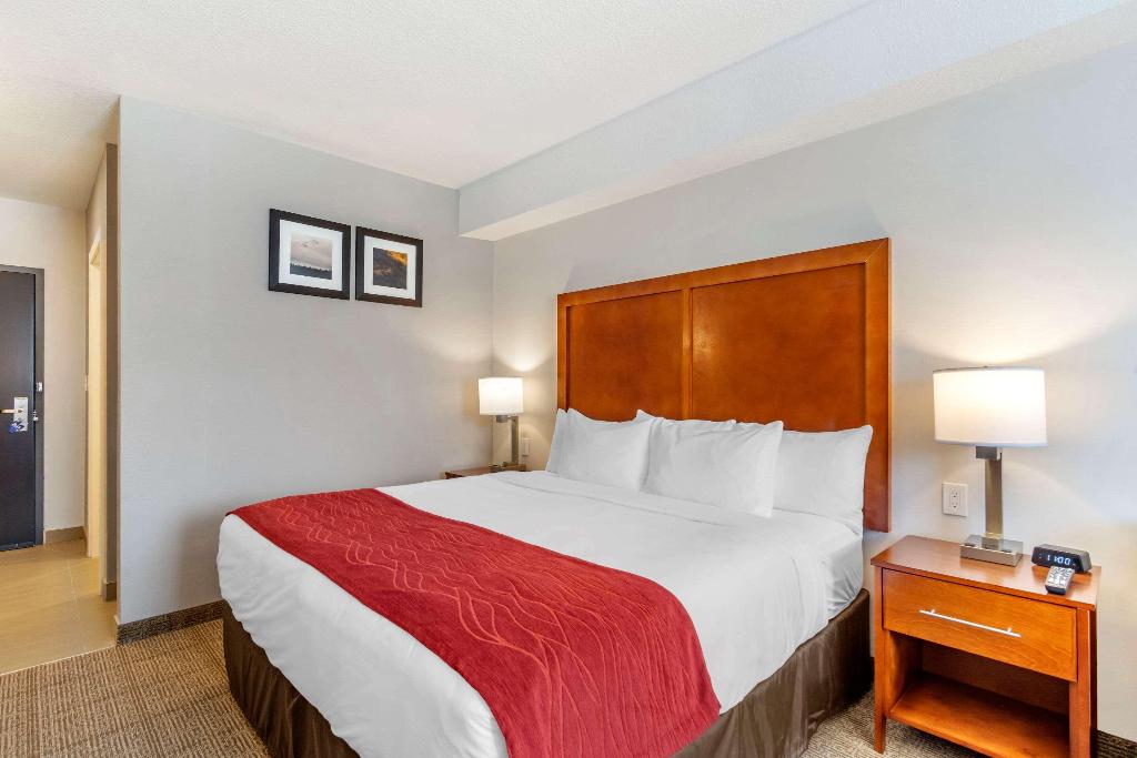Comfort Inn and Suites Valemount