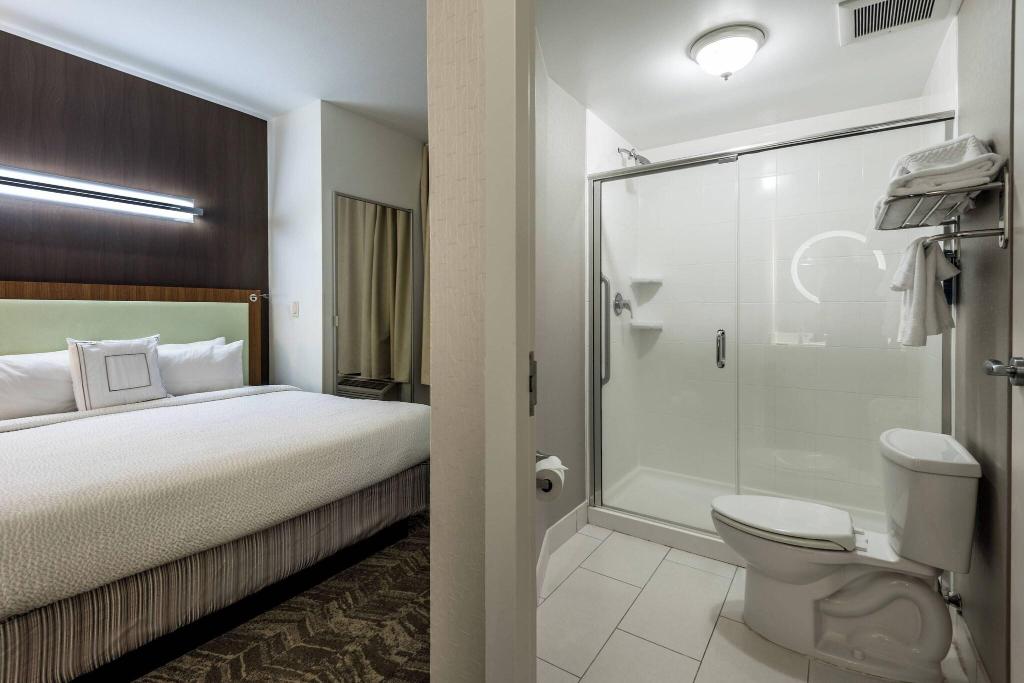 Springhill Suites Statesboro University Area